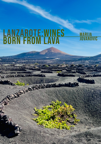 Lanzarote: Wines Born from Lava